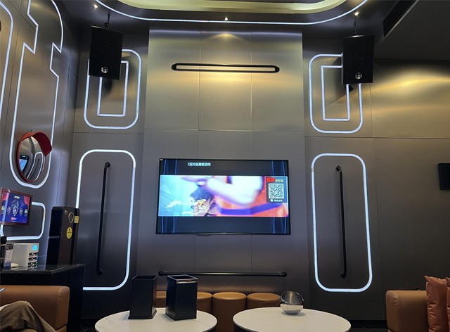 卡拉OK会所案例